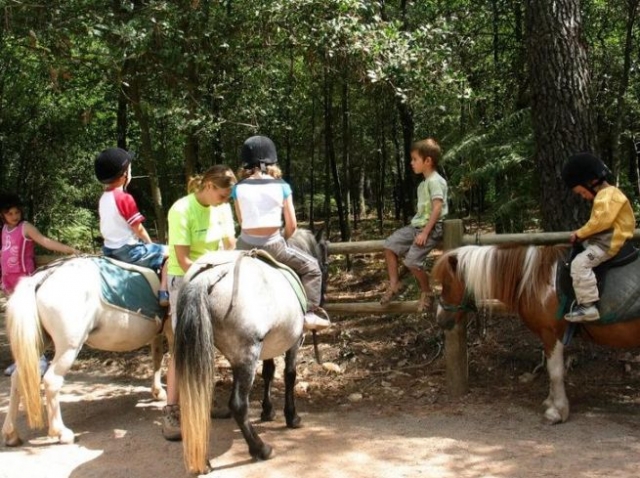  Paseo en pony infantil en Vendée 